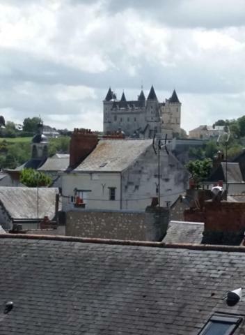 Appt 2Eme Etage Sur L'Ile De Saumur Kültér fotó